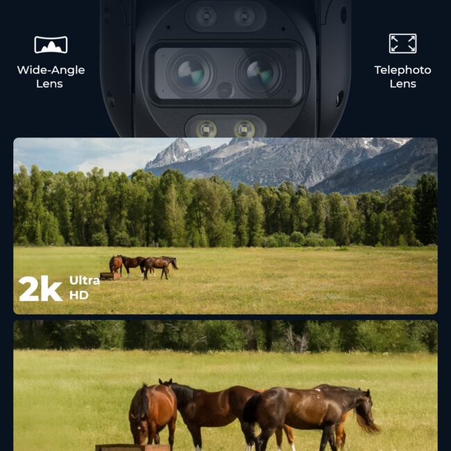UK-Wide Angle & Fine Details (1)