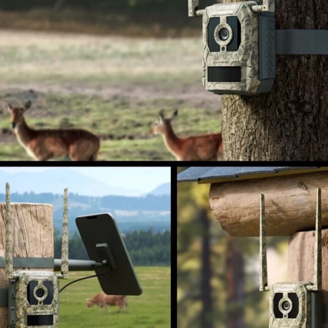Camovue-4G-viltkamera